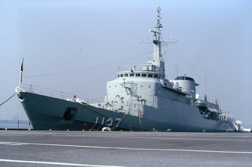 890528098.JPG