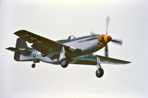 950503564.JPG